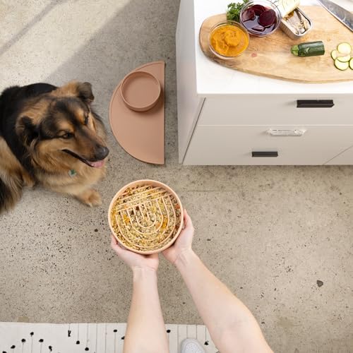Should We Go? Slow Feeder for Dogs & Puppies, The Slowdown Bowl Silicone Slow Eating, Modern Lick Mat Design, Reduces Gulping, Fits 2 Cups, 7.5” Across x 1.5” Tall, Mealtime Challenge, Medium-Blush - color: Blush - Rainbow Design, size: Medium (7.5” Acros