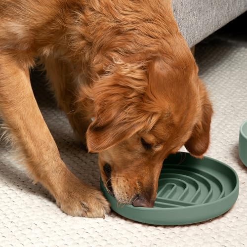 Should We Go? Slow Feeder for Dogs & Puppies, The Slowdown Bowl Silicone Slow Eating, Modern Lick Mat Design, Reduces Gulping, Fits 2.5 Cups, 9.5” Across x 1.5” Tall, Mealtime Challenge, Large-Spruce - color: Spruce - Rainbow Design, size: Large (9.5” Acr