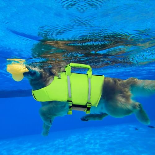 Queenmore Dog Swim Vest - Lightweight Adjustable Reflective Puppy Pet Float Life Preserver with Back Zip, Rescue Handle, Metal Hook (Green S) - color: Green, size: Small