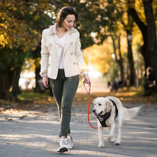 BUMBIN 6Ft Dog Leash - Large Dogs, Bungee Leash with 2 Handles, Heavy Duty, No Pull Shock Absorbing, Orange - color: Orange