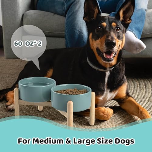 SPUNKYJUNKY Ceramics Elevated Dog Feeding Stand with Wooden Base - Double 60oz Bowls for Medium Large Dogs (Dark Green) - color: Dark Green (Double Bowls Set), size: Large - 7.6 CUPS