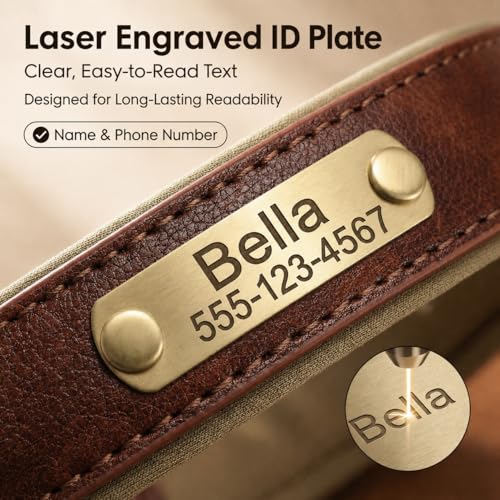 Leather Dog Collar Personalised and Leash Set, Personalized with Soft Padded Design Heavy Duty Featuring Custom Engraved Name Plate for Small Medium and Large Dogs - color: Black collar without leash, size: M:（neck 28-37cm,width 2cm）