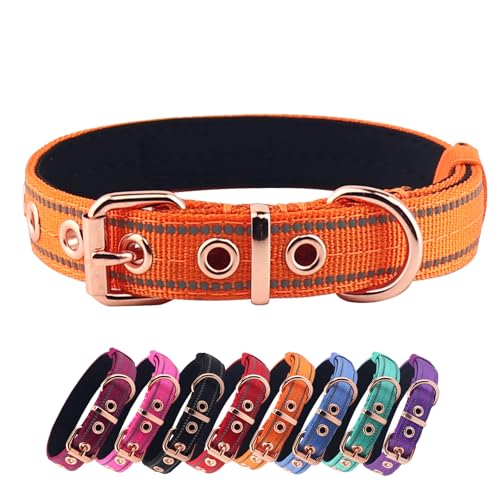 Neoprene Padded Dog Collar, Nylon Collar for Small to Large Dogs, Heavy Duty with Metal Buckle, Reflective(Small, Orange) - color: Orange, size: Small(Pack of 1)