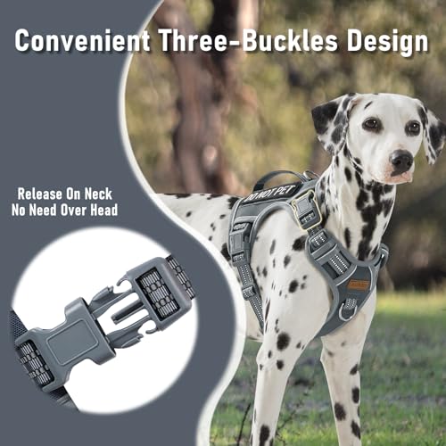 No Pull Dog Harness for Large Dogs with 2 Metal Clips, Easy On/Off with Neck Buckle, Heavy Duty Adjustable Tactical Puppy Vest, Breathable Pet Harness with Easy Control Handle, Gray L - color: Gray, size: Large