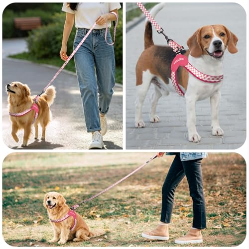 Kazazoo No Pull Small Dog Harness and Leash Set, Adjustable Puppy Soft Vest Harness with Breathable Mesh Padded, Reflective Lightweight Harness with Buckle for Extra Small Medium Dogs, Pink Plaid S - color: Pink Plaid, size: S