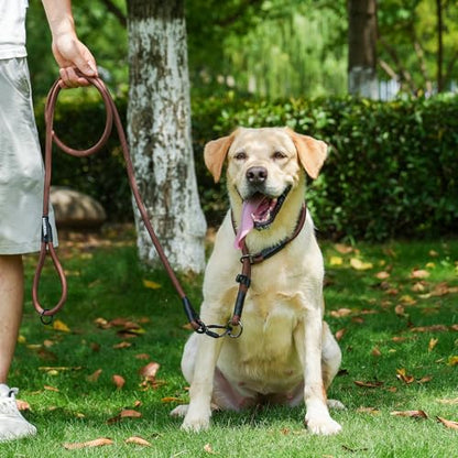 Rope Dog Leash, 6 Foot Heavy Duty Dog Leash with Aviation Aluminum Auto Locking Carabiner, Strong Nylon Pet Lead for Small, Medium, Large Dogs (Brown, 6FT) - color: Brown, size: 6 Foot Single Handle