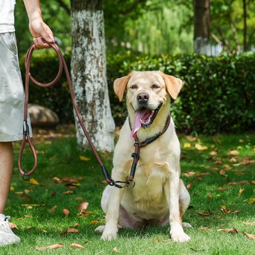 Rope Dog Leash, 4 ft Heavy Duty Dog Leash with Aviation Aluminum Auto Locking Carabiner, Strong Nylon Pet Lead for Small, Medium, Large Dogs (Yellow, 4FT) - color: Yellow, size: 4 Foot Single Handle