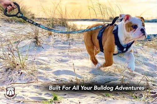 No-Pull Harness for English & French Bulldogs - Adjustable Wide-Chest Fit, Reflective Vest with Control Handle (Bully Blue Camo, Small) - color: Bully Blue Camo, size: Small