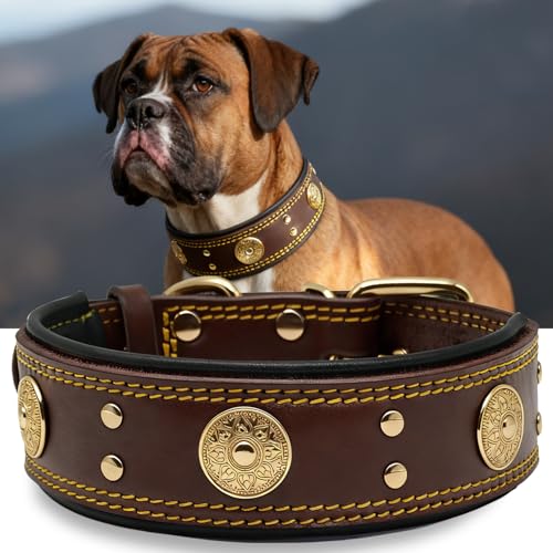 Leather Dog Collar, 2 inches Wide Heavy Duty Genuine Leather Collars, Handmade, Soft, and Luxury, Eye-catching Best Choice for Large and Medium Breed Dogs, Brown-Gold 15-19 in - color: Brown-Gold, size: 15-19 in