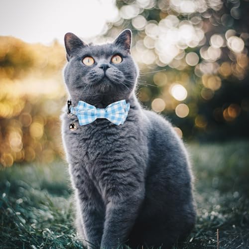 2 Pcs Boy Cat Collar with Bell Breakaway Cat Collars Cute Kitten Bow Tie Collar Adjustable Small Puppy Safety Collar Solid Color Plaid Pet Collar (Blue) - color: blue