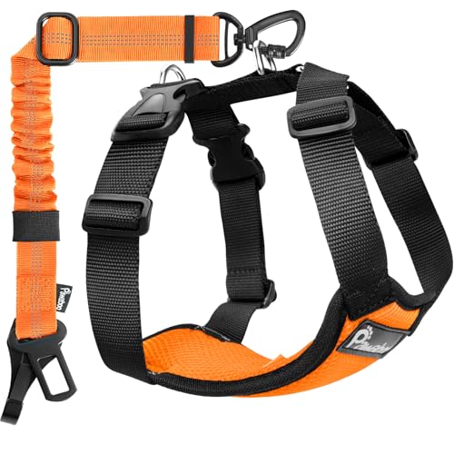 Pawaboo Dog Seat Belt Harness for Car, Dog Car Harness Seatbelt with Double Clips, Adjustable Breathable Pet Vest & Dogs Safety Tether with Elastic Bungee for Small Medium Large Pet, XL, Orange/Black - color: Orange/Black, size: Extra Large