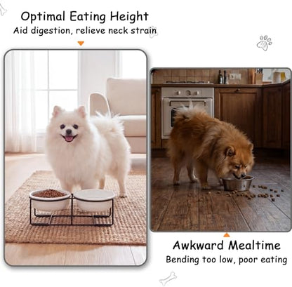 Ceramic Elevated Dog Bowl Set - Double Dog Food and Water Bowls with Metal Stand - Raised Pet Dishes for Puppies and Cats - 2 Cups - 12.5 fl oz - Matte White - color: Matte White, size: S-200ml