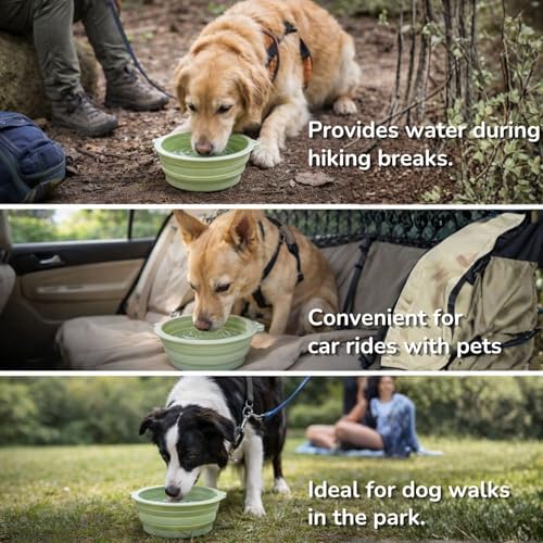 Collapsible Dog Bowls 2 Pack (650ml Each) – Foldable Silicone Travel Bowl Set with Slow Feeder, Water Bowl & Carabiner Clip for Hiking Camping | Dishwasher Safe | for Medium to Large Dogs
