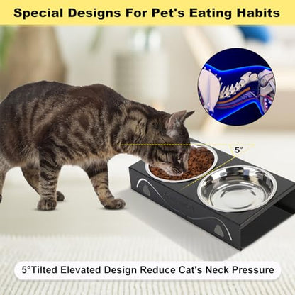 All-Metal Cat Food Bowl Raised, 5.5" WideTilted Whisker-Fatigue Pet Dish, Anti-Vomiting, 2 Stainless Steel Bowls for Food Water, Non-Slip Elevated Cat Feeding Stand for Indoor Multi Cats,Puppy, Black - color: Black-1