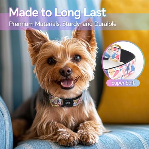 QQPETS Reflective Dog Collar with Soft Neoprene Padded Breathable Nylon Pet Collar Adjustable for Small Medium Large Dogs - color: Paintings, size: S