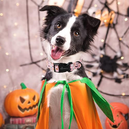 ARING PET Halloween Dog Collars, Cute Pink Pumpkin Ghost Bat Spider Skull Pet Collar with Quick Release Buckle for Small Medium Large Girl Boy Dogs-XS - color: Halloween Party, size: X-Small