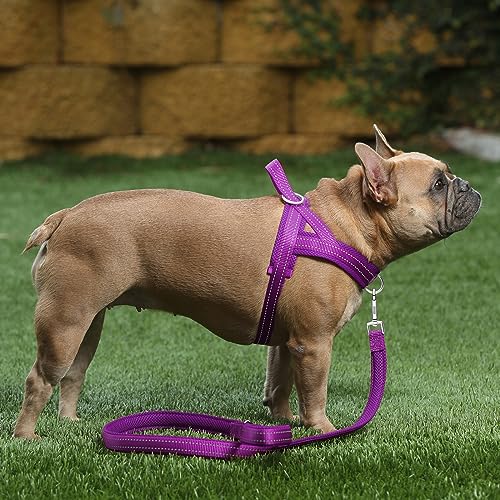 Plutus Pet No Pull Dog Harness with Breathable Mesh Padded, Adjustable Reflective Escape Proof Dog Harness, Quick Fit Dog Vest Harness for Small Medium Large Dogs(XS, Purple) - color: Purple, size: XS: chest 13.8"-17.3"
