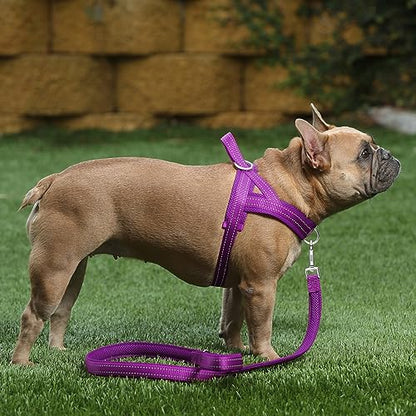 Plutus Pet No Pull Dog Harness with Breathable Mesh Padded, Adjustable Reflective Escape Proof Dog Harness, Quick Fit Dog Vest Harness for Small Medium Large Dogs(XS, Purple) - color: Purple, size: XS: chest 13.8"-17.3"