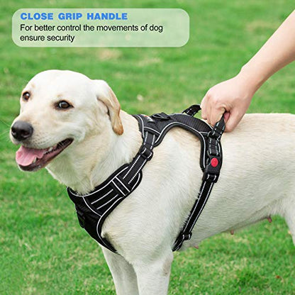 tobeDRI No Pull Dog Harness Adjustable Reflective Oxford Easy Control Medium Large Dog Harness with A Free Heavy Duty 5ft Dog Leash - color: Pink Harness+Leash, size: Large