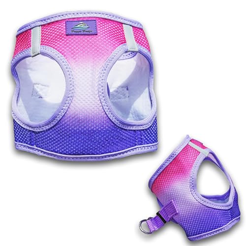 American River Choke-Free Dog Harness - Raspberry Sundae Ombre - color: Raspberry Sundae, size: X-Small