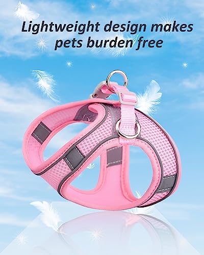 Solmoony Dog Harness for Small Medium Dogs No Pull, Puppy Harness and Leash Set, mesh Dog Harness. (Green, XS) - color: Green, size: XS