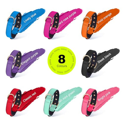 Didog Soft Padded Dog Collars for Small Dogs, Lightweight and Breathable Dog Collar with Metal Buckle, Blue, M - color: Blue, size: M: Fit 11-15" Neck