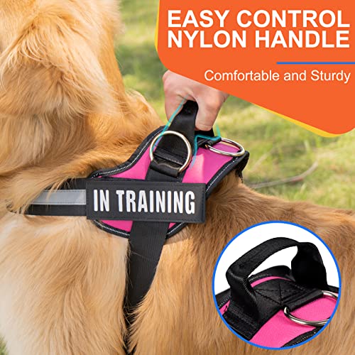 Essential Dog Harness, No Pull Pet Harness with 3 Side Rings for Leash Placement, No Choke, Reflective, Adjustable Pet Vest, Easy On-Off & Improved Control Handle, Training, Walking, Running - size: XS(Neck:11-14",Chest:14-16")