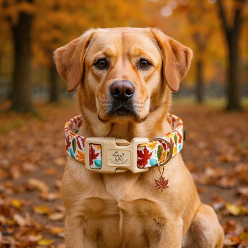 Elegant little tail Fall Dog Collar, Fall Maple Leaf Print Autumn Pet Collars Dog Cotton Soft Sturdy Puppy Collars Holiday Female Adjustable Collar for X-Small Dogs - color: Fall-Maple Leaf, size: X-Small (Pack of 1)