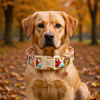 Elegant little tail Fall Dog Collar, Fall Maple Leaf Print Autumn Pet Collars Dog Cotton Soft Sturdy Puppy Collars Holiday Female Adjustable Collar for X-Small Dogs - color: Fall-Maple Leaf, size: X-Small (Pack of 1)