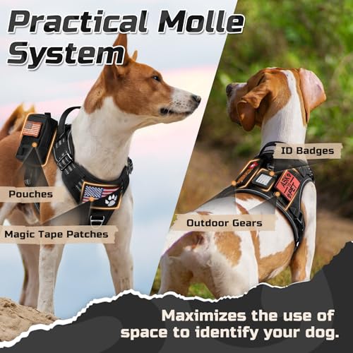 rabbitgoo Tactical Dog Harness Medium Sized Dog, No Pull Military Service Vest with Handle & Molle, Easy Control for Training Walking, Adjustable Reflective Straps, Black, M - color: Black, size: Medium