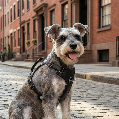 CANAGAN Premium Vegan Leather Dog Harness for Medium Dogs – Adjustable, No-Pull, Escape-Proof, Dual Leash Rings & Top Handle, Zinc Alloy Buckles – Perfect for Urban & Outdoor Walks - size: M: Chest(17" - 23")