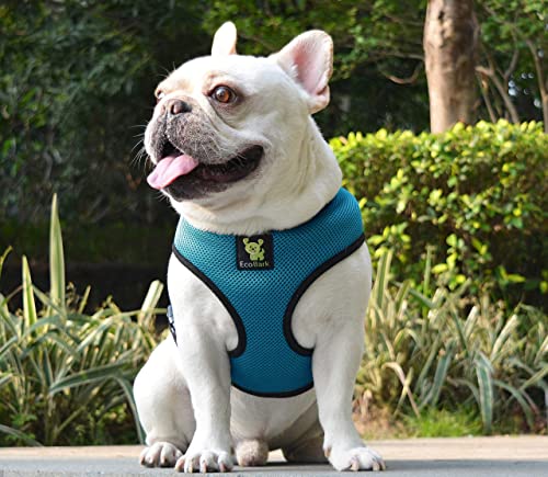 EcoBark Teal Dog Harness - Eco-Friendly Max Comfort Harnesses - Luxurious Soft Mesh Halter - Over the Head Harness Vest- No Pull and No Choke - color: Teal Blue
