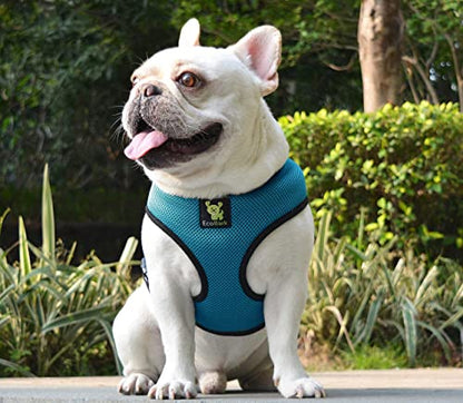 EcoBark Dog Harness - Eco-Friendly Max Comfort Harnesses - Luxurious Soft Mesh Halter - Over the Head Harness Vest- No Pull and No Choke for Puppy, Toy Breeds & Small Dogs (Small, Teal Blue) - color: Teal Blue