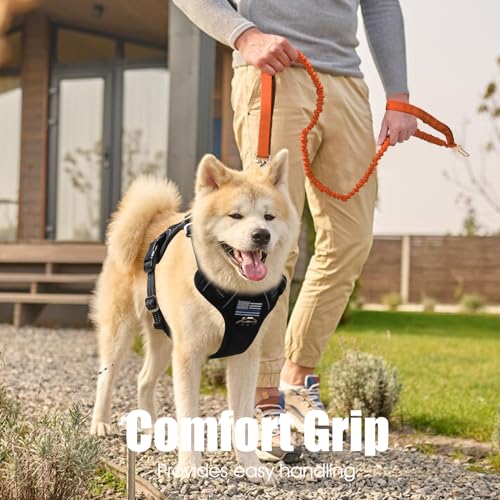BUMBIN 6Ft Dog Leash - Large Dogs, Bungee Leash with 2 Handles, Heavy Duty, No Pull Shock Absorbing, Orange - color: Orange