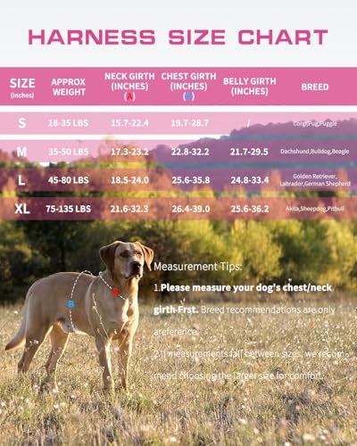 Tactical Dog Harness Medium Sized, Heavy Duty No Pull Dog Harness with Handle, Easy On and Off Service Dog Vest with Molle System, Reflective Pet Vest for Walking Hiking Training - color: Pink Camo, size: M(Neck:17-23",Chest:22-32"),35-50 lbs