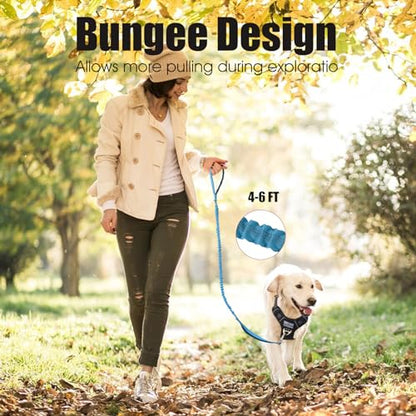 BUMBIN 6Ft Dog Leash Large Dogs, Bungee Dog Leash with 2 Handles, Heavy Duty Leashes for Medium Small Dogs, No Pull Shock Absorbing，with Car Seat Belt for Training, Blue - color: Blue