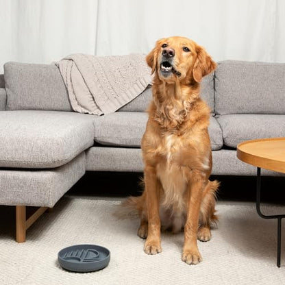 Should We Go? Slow Feeder for Dogs & Puppies, The Slowdown Bowl Silicone Slow Eating, Modern Lick Mat Design, Reduces Gulping, Fits 2 Cups, 7.5” Across x 1.5” Tall, Mealtime Challenge, Medium-Sage - color: Sage - Sunset Design, size: Medium (7.5” Across x