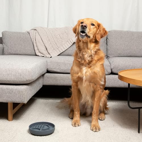 Should We Go? Slow Feeder for Dogs & Puppies, The Slowdown Bowl Silicone Slow Eating, Modern Lick Mat Design, Reduces Gulping, Fits 2 Cups, 7.5” Across x 1.5” Tall, Mealtime Challenge, Medium-Sage - color: Sage - Sunset Design, size: Medium (7.5” Across x