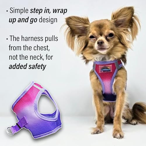 American River Choke-Free Dog Harness - Raspberry Sundae Ombre - color: Raspberry Sundae, size: X-Small