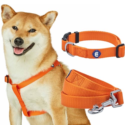 Blueberry Pet Essentials Dog Harness and Leash Set - Large Orange Vermilion Dog Collar and Leash Set for Eco-Conscious Owners, Adjustable, Durable, 4 ft Leash, Ideal for Active Pet Parents - color: Orange Vermilion - Collar + Leash + Harness, size: Large