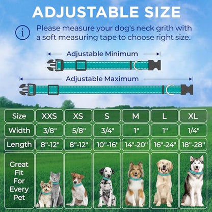 TECEUM Reflective Dog Collar – Aquamarine – M – Extra Soft Padding – Basic Nylon Pet Collar – Quick Release Buckle – Fits Small, Medium and Large Dogs, Puppies, Cats – ESA & Service Dog Options - color: Aquamarine, size: Medium