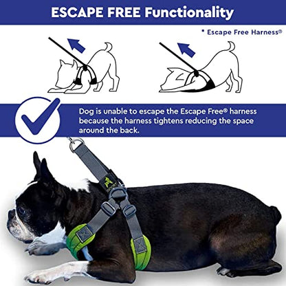Gooby Escape Free Easy Fit Harness - Blue, Small - No Pull Step-in Patented Dog Harness with Quick Release Buckle for Small to Medium Dogs - color: Blue, size: Small chest (16~19.25")