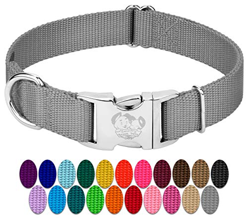 Country Brook Petz - Premium Nylon Dog Collar with Metal Buckle for Small Medium Large Breeds - 10+ Cool Colors (Small, 3/4 Inch, Silver) - color: Silver, size: Small (Pack of 1)