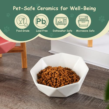 Green with Stand Ceramic Tilted Elevated Raised Pet Bowl with Bamboo Stand for Cats and Dogs No Spill Pet Food Water Feeder - color: Green with stand