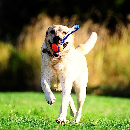 Chuckit! Ultra Tug Dog Toy, Medium Fetch and Dog Ball Tug Toy for Dogs 20-60 Pounds - size: Medium, style: Ultra Tug