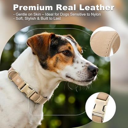 Plutus Pet Genuine Leather Dog Collar – Adjustable Pet Collar with Quick Release Metal Buckle, Soft Real Leather for Small Medium Large Dogs, Heavy Duty & Skin-Friendly (Beige, XS) - color: Beige, size: XS