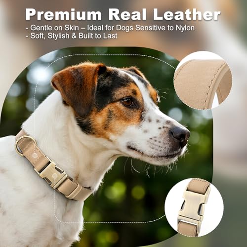 Plutus Pet Genuine Leather Dog Collar – Adjustable Pet Collar with Quick Release Metal Buckle, Soft Real Leather for Small Medium Large Dogs, Heavy Duty & Skin-Friendly (Beige, S) - color: Beige, size: S