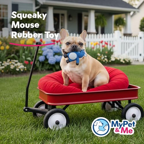 My Pet & Me - Squeaky Dog Toys for Light to Moderate Chewers - Fun Latex Toys for Puppies, Teething, and Gentle Play - Interactive Fetch and Chew Toy with Squeaker (Blue Mouse, 4.3 Inch) - size: 4.3 Inch, style: Blue Mouse