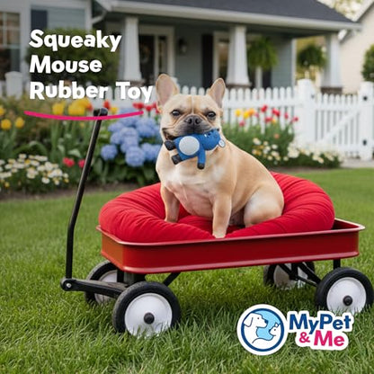 My Pet & Me - Squeaky Dog Toys for Light to Moderate Chewers - Fun Latex Toys for Puppies, Teething, and Gentle Play - Interactive Fetch and Chew Toy with Squeaker (Blue Mouse, 4.3 Inch) - size: 4.3 Inch, style: Blue Mouse