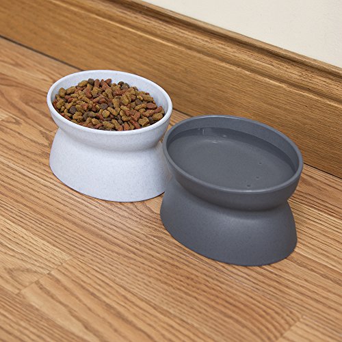 Kitty City Elevated Cat Bowls (Set of 2), Whisker-Friendly Raised Cat Food & Water Dishes, Modern Pedestal Design, Dishwasher Safe, 6.5 oz Each – White & Gray - size: Small